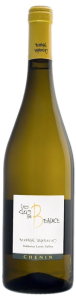 Clos de Beauce - Domaine Bonnigal-Bodet