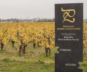 Panneau accueil Domaine Luneau-Papin