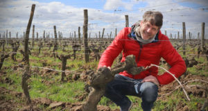 Arnaud Lambert - Vigneron à Saumur