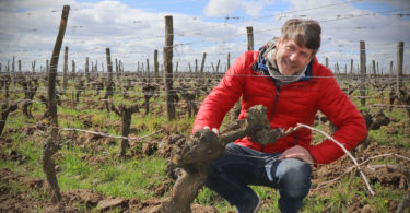 Arnaud Lambert - Vigneron à Saumur